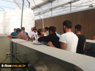 بازدید از گلخانه حضرت فاطمه الزهرا (س) 4