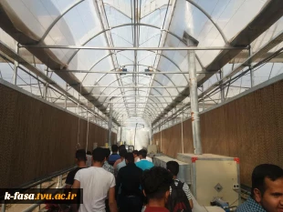 بازدید از گلخانه حضرت فاطمه الزهرا (س) 5